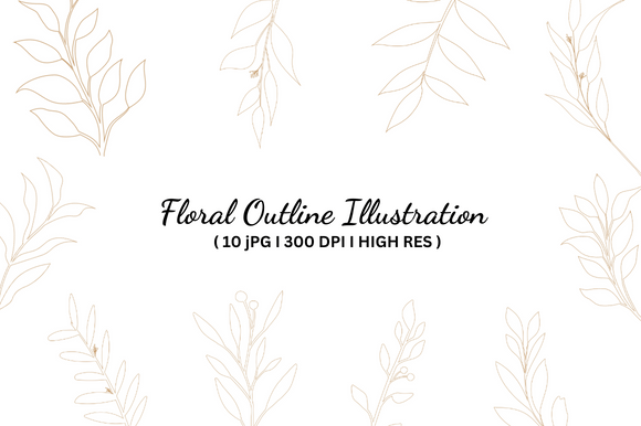 Download Floral Outline Illustration - Line Collection