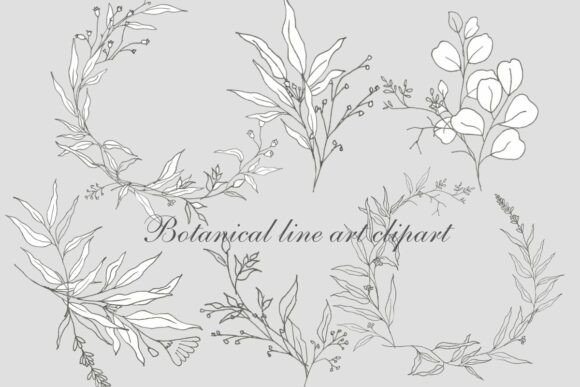 Download Minimalist Leaf and Floral Outline PNGs - Premium Resources