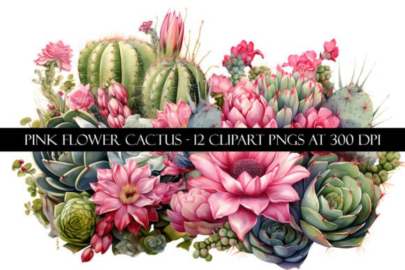Download Pink Flower Cactus Clipart - Art Collection