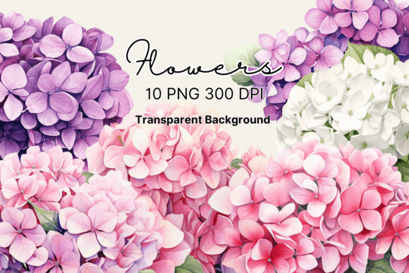 Download Watercolor Hydrangea Flowers Clipart - Art Collection