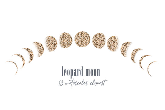 Download Leopard Moon Phases Clipart. Moon Logo - Art Collection