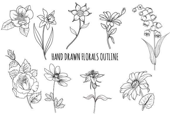 Download Floral Outline Hand Drawn Bundle - Line Collection