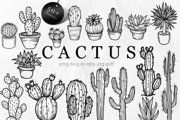 Download Cactus SVG Bundle | Succulent Line Art - Art Collection