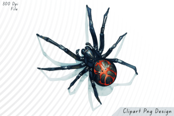 Download Spider PNG Clipart - Art Collection