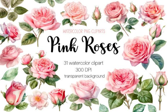 Download Pink Roses Watercolor Clipart Bundle - Art Collection