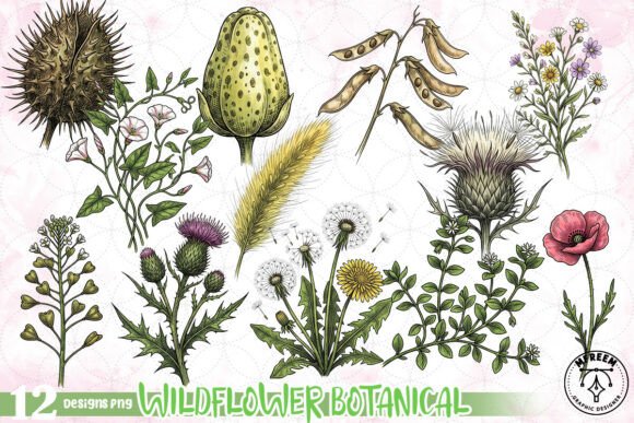 Download Wildflower Botanical Clipart PNG - Art Collection
