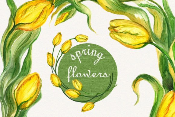 Download Tulip Clipart, Flower Frame Clipart - Art Collection